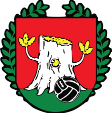 Turnaj prípraviek U9 o pohár starostky obce Klátova Nová Ves